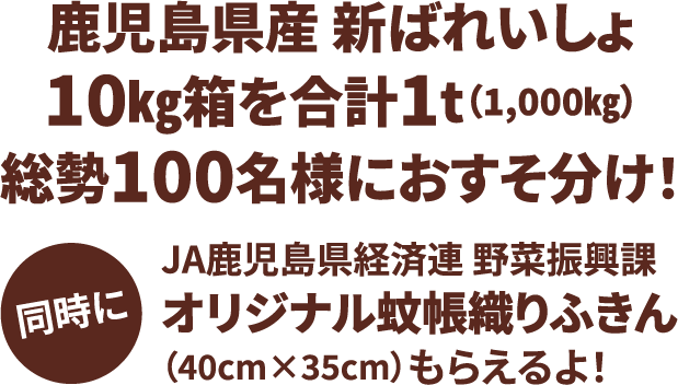 鹿児島県産 新ばれいしょ10㎏箱を合計1t（1,000㎏）総勢100名様におすそ分け！