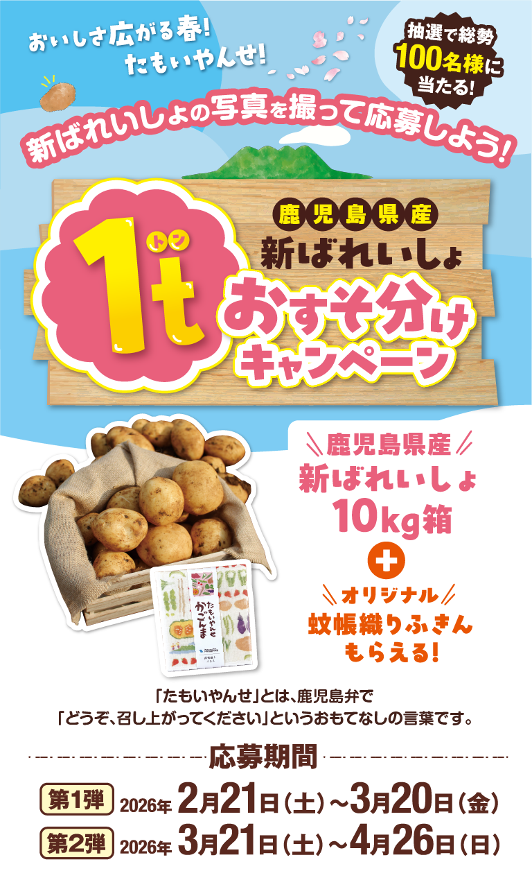 新ばれいしょの写真を撮って応募しよう!！JA鹿児島経済連の新ばれいしょ1t山分けキャンペーン
