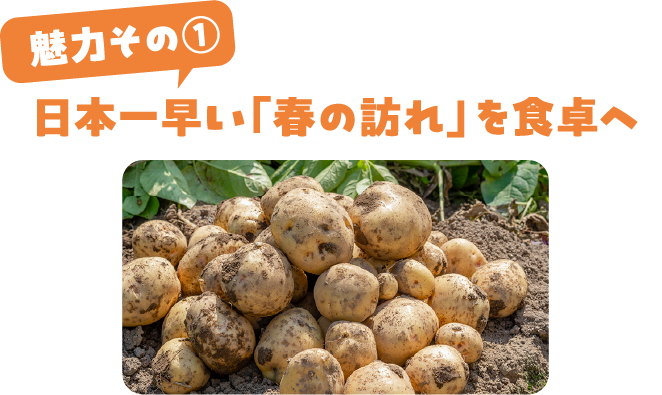 日本一早い「春の訪れ」を食卓へ